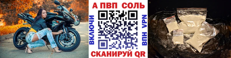 А ПВП СК  Великий Новгород 