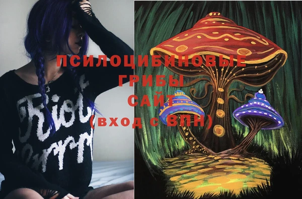 шишки Белоозёрский