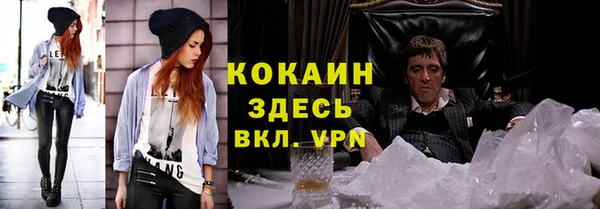 шишки Белоозёрский
