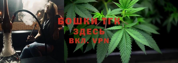 шишки Белоозёрский