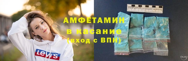 шишки Белоозёрский