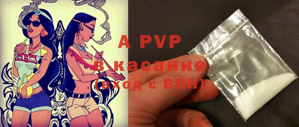 шишки Белоозёрский