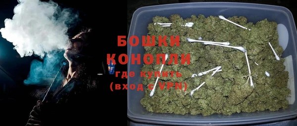 шишки Белоозёрский